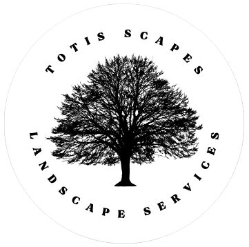 Totis Scapes